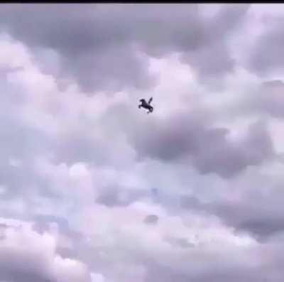 Blended cheese 322/5000