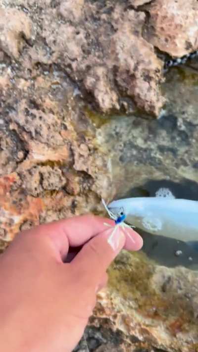 First fish caught on the homemade