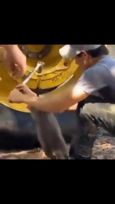 Aww, the right help!