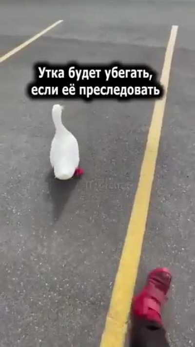 Знания сила