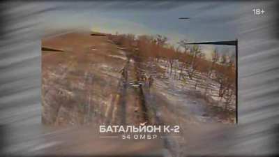Ukrainian K-2 batallion drone strikes on Russian infantry, bikes and vehicles by Verkhnokamyanske, 14 December 2024