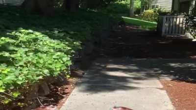 POV: You're an old lady Eddy beats up.