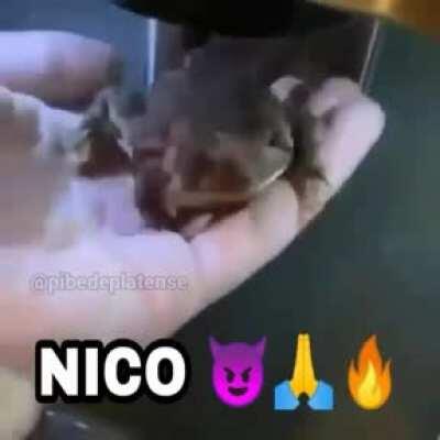 Nico 😈🔥