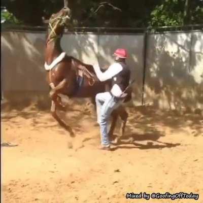 man kicks a horse