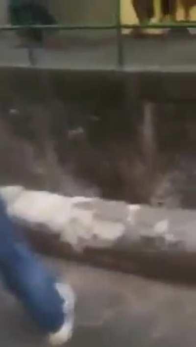 nothing to see here, just a robber taking a stage fatality