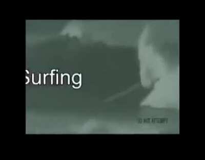 That has got to be the Best Pirate I've Ever Seen