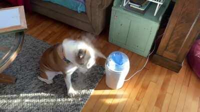 Self care is important