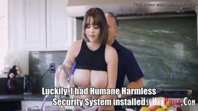 Humane Security System