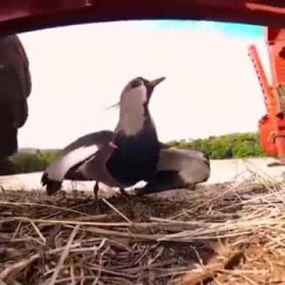 🔥 mom will protect you