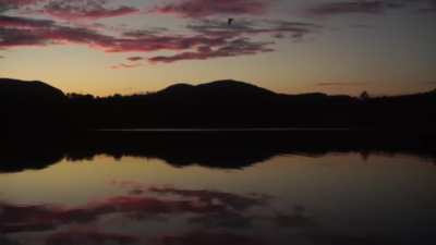 Trailer for new site with all the shorts