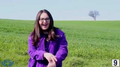 Доза предизборен криндж