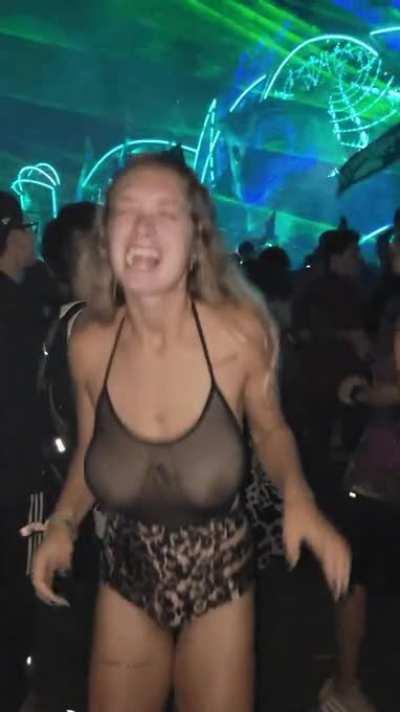 Reminiscing about the fun festivals I went to this year!