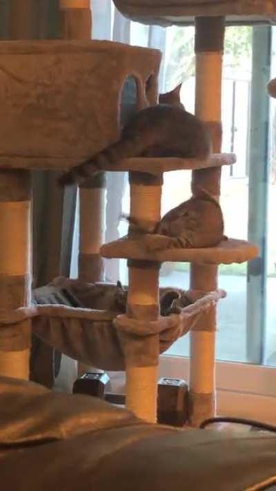 Is this a SIC bug or feature?