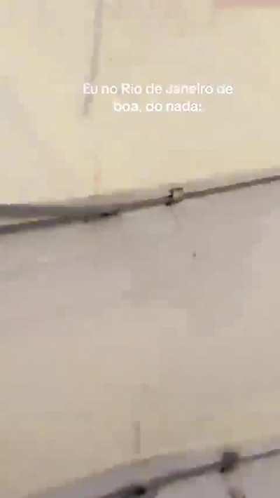 On a nice sunny day at the beach