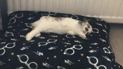 Must make myself comfortable!