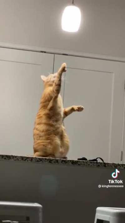 And then there was light.