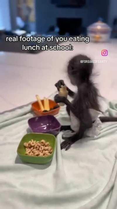 Mikey back in pre school 