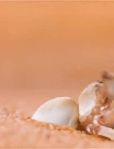 NOOOOOOOOOOOOOOOOOOO