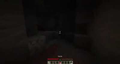 Minecraft but the tick speed is increased