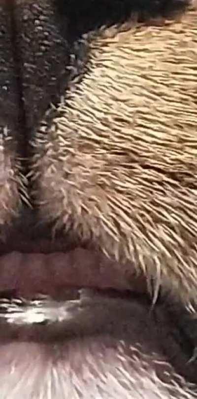 I thought you guys would enjoy this as much as I do!