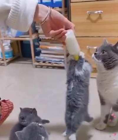 The tiniest slaps for trying to get their sister to share