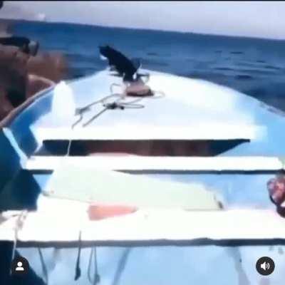 Как тузик грелку