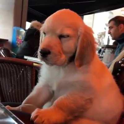 Warning: Low Battery