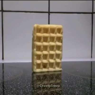Waffle falls over. Funniest shit you will ever watch