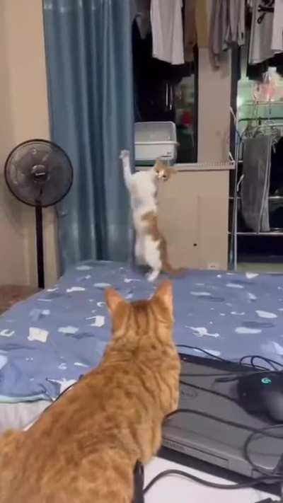 Drunken Master 🍶 😹