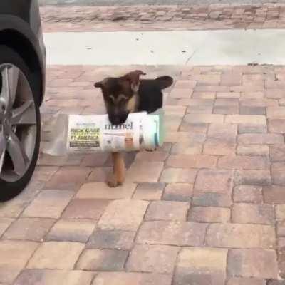 Don't worry human, I got it.