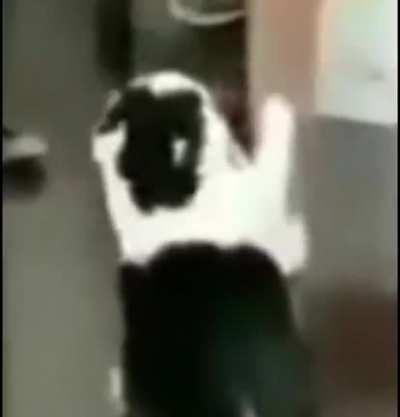 The battle of the century