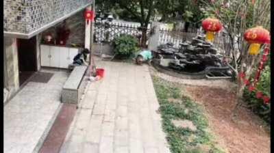 Dog taking care of the kids