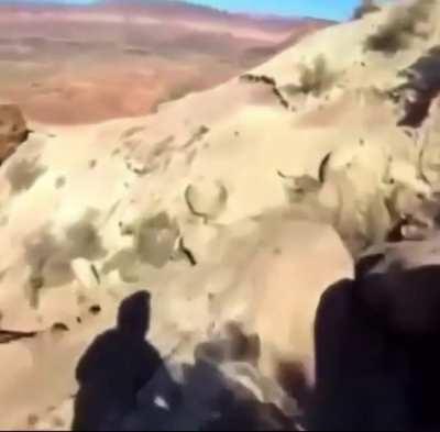 Crazy Mountain bike ride. The boss level!