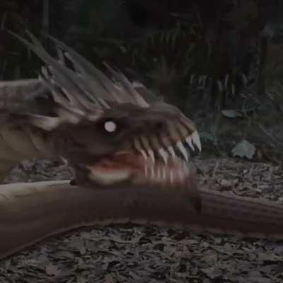 What is this abomination?