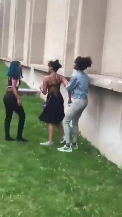 This all seems like a dream