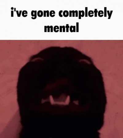 I am past the point of return