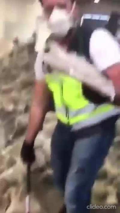 They get smarter everyday