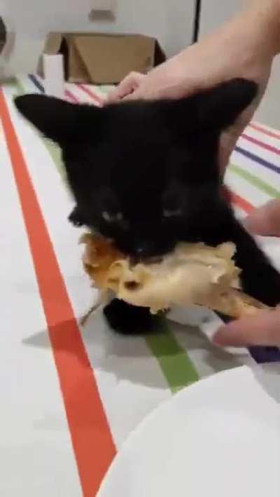 Don't bite the hand that feeds you.