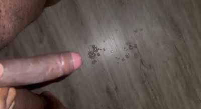 Any horny couples or women wants a bbc ?