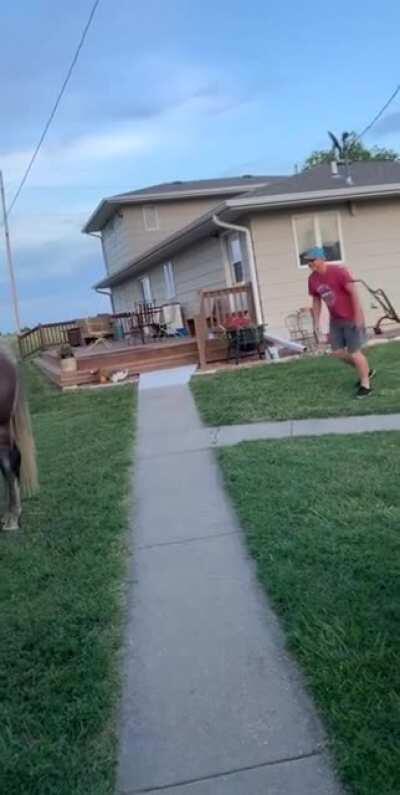 Kicked so hard he flipped midair