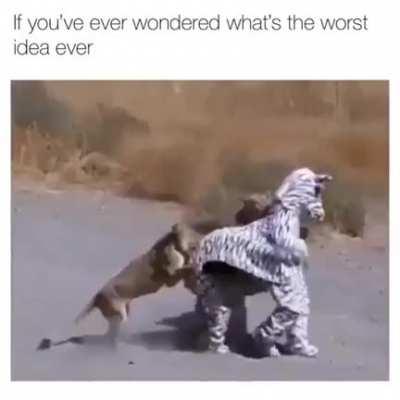 You just have to be faster than the idiots...