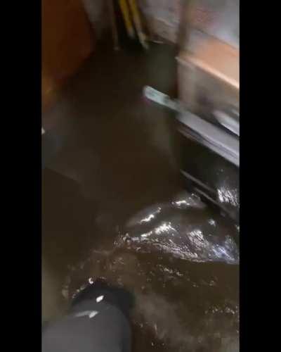 Al mal tiempo buena cara 