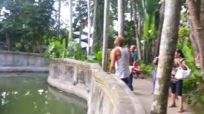 Clever Orangutan Makes a Fair Trade With Human