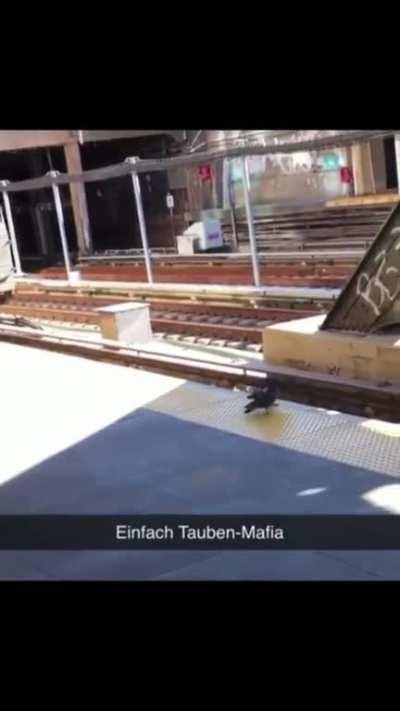 Subway drones sacrifice a rogue drone