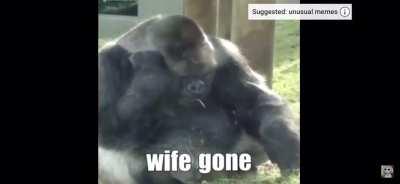 Tragic Monk Story. 10/10 “made me cry” - Ronald Reagan