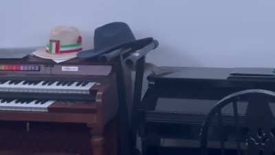 Crazy squirrel knocked my ATW CD off the wall