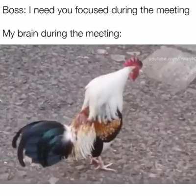 Best thing I've seen all day