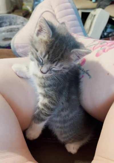 Reuben of the Fab Five has played himself into unconsciousness… Day 38!