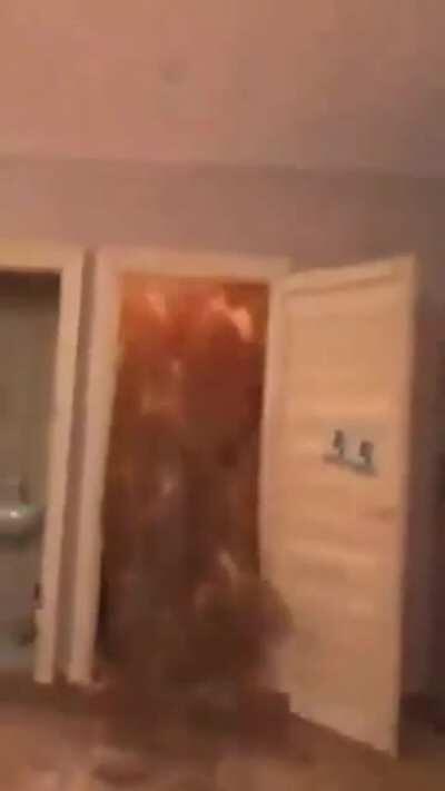 Vik when the curry is on point