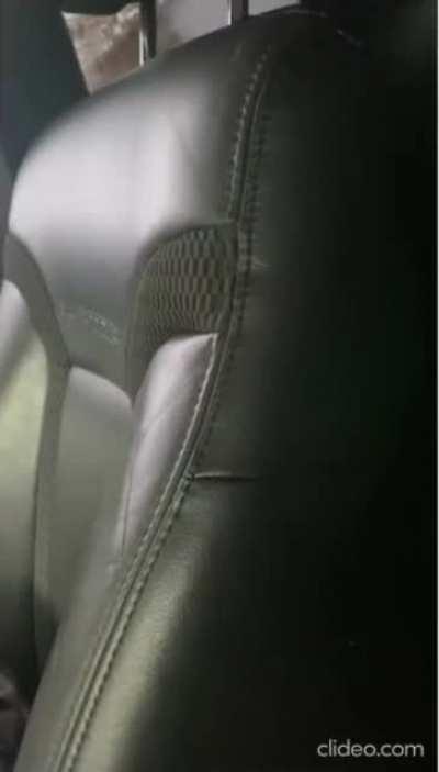 Bandit, the dog sniffles and cries as he thinks he is getting replaced by a baby cow.